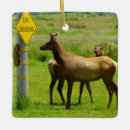 Suche nach elch foto ornamente Natur