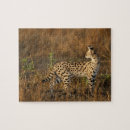 Suche nach masai puzzle Großkatze