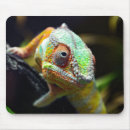 Suche nach eidechsen mousepads Tier