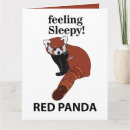 Suche nach roter panda karten Natur