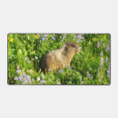 Suche nach murmeltier mousepads Wildtiere