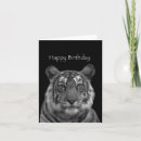 Suche nach weißer tiger karten Für alle