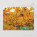Suche nach napa valley postkarten Napatal