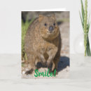 Suche nach quokka karten Für alle