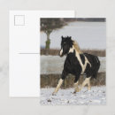 Suche nach bob langrish postkarten Schnee