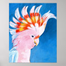 Suche nach exotischer vogel poster Kakadu