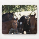 Suche nach ponys elektronik zubehör Tiere