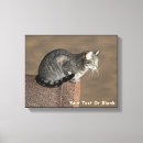 Suche nach tabby leinwandbilder Tabelle