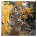 Suche nach rotwild fliesen Für alle