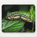Suche nach malachit mousepads Schmetterling