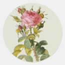 Suche nach redoute aufkleber Botanisch