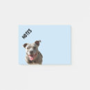 Suche nach pitbulls Jede person