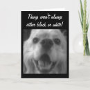 Suche nach hundewitz karten Hunde humor