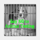 Suche nach tiergrausamkeit Vegan