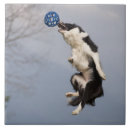 Suche nach fänger fliesen Ball