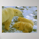 Suche nach strauch poster Jede person