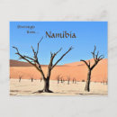 Suche nach sossusvlei düne postkarten Afrika