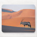 Suche nach einsam mousepads Natur