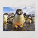 Suche nach coole postkarten Jede person