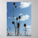 Suche nach dorf poster Sommer