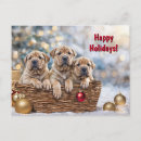 Suche nach shar pei postkarten Welpen