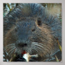 Suche nach habitat poster Wild lebende tiere