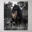 Suche nach weißes pferd poster Modern