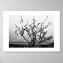 Suche nach dornen poster Dunkel