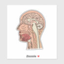 Suche nach psychologie Brain