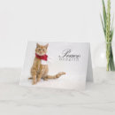 Suche nach katzen adoption karten Für alle