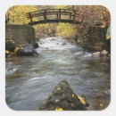 Suche nach gabel aufkleber Pflanze