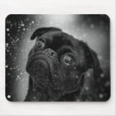 Suche nach schwarzer mops mousepads Haustier
