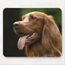 Suche nach profil mousepads Von nahem