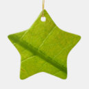 Suche nach grünes blatt ornamente Jede person