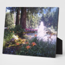 Suche nach bäume fotoplatten Elegant