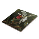 Suche nach tropische kolibris fliesen Blume
