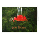 Suche nach feeder postkarten Vogel