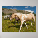 Suche nach maultiere poster Bauernhof