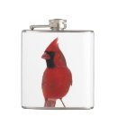 Suche nach tulpe flachmänner Kardinal