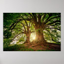 Suche nach ferien zuhause poster Foto