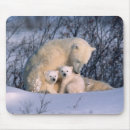 Suche nach fauna mousepads Winter