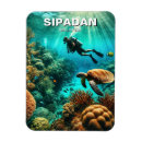 Suche nach diver magnete Tauchen