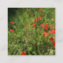 Suche nach mohn visitenkarten Floral