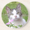 Suche nach weißer tiger untersetzer Katze