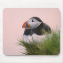 Suche nach papageientaucher mousepads Atlantisch