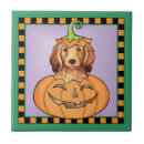 Suche nach laternen fliesen Kürbis