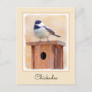 Suche nach birdhouse postkarten Vogelvogel