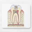 Suche nach gesundheitswesen und medizin mousepads Medizinisch