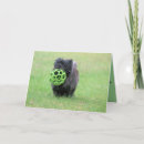 Suche nach cairn terrier karten Hund