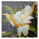 Suche nach dragons fliesen Blume